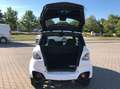 Chatenet Sonstige CH46 Barooder SUV ab 15 Jahren Mopedauto Weiß - thumbnail 9