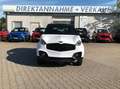 Chatenet Sonstige CH46 Barooder SUV ab 15 Jahren Mopedauto Weiß - thumbnail 5