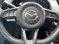 Mazda CX-3 Kizoku - 8-Fach Bereift - Neue Bremsen VA Rojo - thumbnail 15