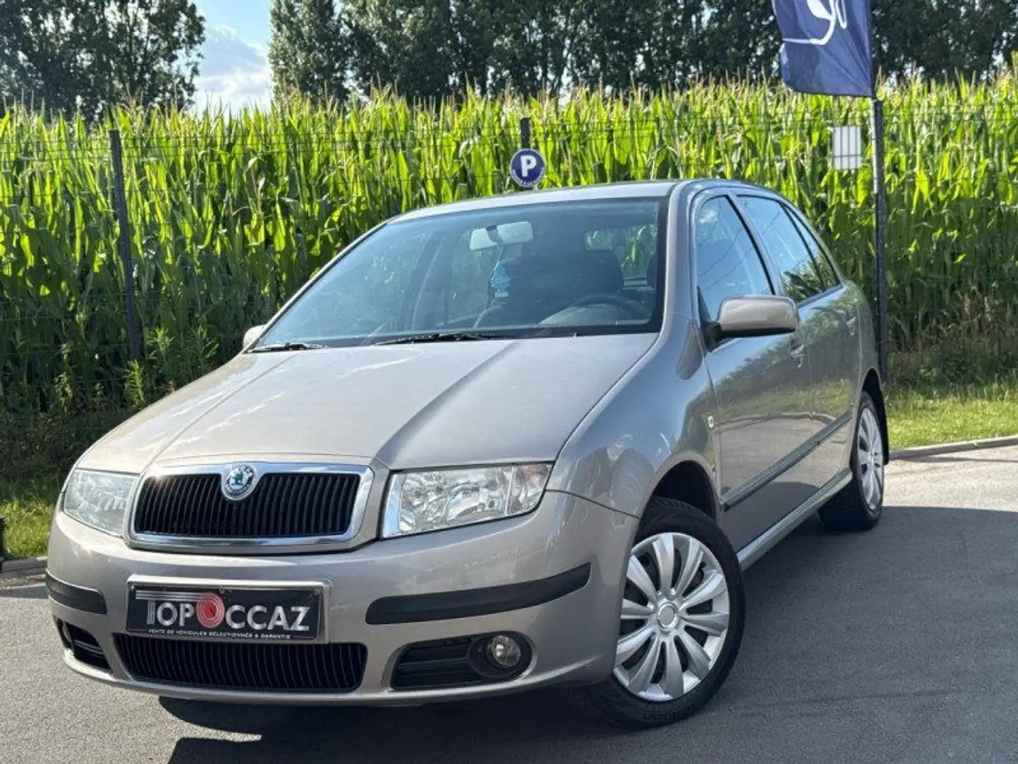Skoda Fabia 1.4 TDI 70CH * 4CV * CLASSIC * 139.000KM * 5 PORTE Gris - 1