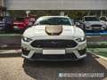 Ford Mustang coupe 5.0 TI-VCT 338KW MACH I AUTO 459 2P siva - thumbnail 4