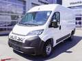 Fiat Ducato Kastenwagen L2H2 3300 140 MT Weiß - thumbnail 1