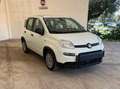 Fiat Panda 1.0 FireFly S&S Hybrid Grigio - thumbnail 3