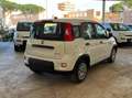 Fiat Panda 1.0 FireFly S&S Hybrid Grigio - thumbnail 6