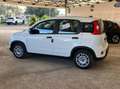 Fiat Panda 1.0 FireFly S&S Hybrid Grigio - thumbnail 4