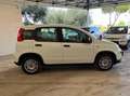 Fiat Panda 1.0 FireFly S&S Hybrid Grigio - thumbnail 5