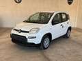 Fiat Panda 1.0 FireFly S&S Hybrid Grigio - thumbnail 1