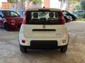 Fiat Panda 1.0 FireFly S&S Hybrid Grigio - thumbnail 7