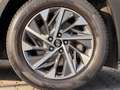 Hyundai TUCSON Trend Automatik Nav+Kam el.HK LED 1.Hand Gris - thumbnail 19