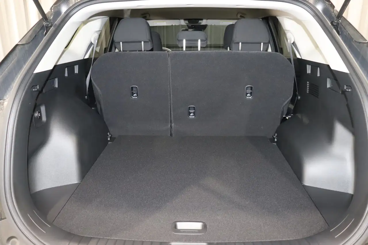 Kia Sportage photo Kia Sportage