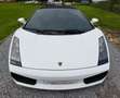 Lamborghini Gallardo Spyder 5.0i V10 40v Blanc - thumbnail 10