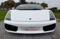 Lamborghini Gallardo Spyder 5.0i V10 40v Blanc - thumbnail 9