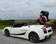 Lamborghini Gallardo Spyder 5.0i V10 40v Blanc - thumbnail 16