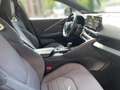 Toyota C-HR Hybrid AWD Lounge +WKR+AHV Rot - thumbnail 19