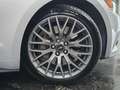 Ford Mustang Mustang VI 2015 Fastback 2.3 ecoboost 317cv Grau - thumbnail 3