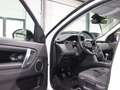 Land Rover Discovery Sport R-DYNAMIC WHITE&BLACK / 7-SITZER Weiß - thumbnail 14