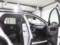 Land Rover Discovery Sport R-DYNAMIC WHITE&BLACK / 7-SITZER Weiß - thumbnail 18