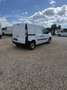 Renault Kangoo Maxi 5p Blue dCi 70 kW (95CV) Blanco - thumbnail 4