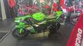 Kawasaki Ninja ZX-6R PERFORMANCE Verde - thumbnail 3