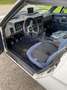 Triumph TR7 TR7 Convertible Weiß - thumbnail 14