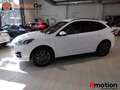 Ford Kuga 2.5 PHEV ST-LINE AUTO 225 5P Blanc - thumbnail 4