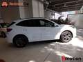 Ford Kuga 2.5 PHEV ST-LINE AUTO 225 5P Blanc - thumbnail 12