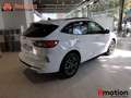 Ford Kuga 2.5 PHEV ST-LINE AUTO 225 5P Blanc - thumbnail 11