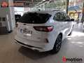 Ford Kuga 2.5 PHEV ST-LINE AUTO 225 5P Blanc - thumbnail 10