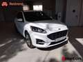 Ford Kuga 2.5 PHEV ST-LINE AUTO 225 5P Blanc - thumbnail 16