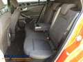 Ford Focus Turnier 1.0 EcoBoost MHEV ST-Line X LED AHK ACC NA Rot - thumbnail 10