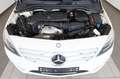 Mercedes-Benz B 180 Leder,Navi,Xenon,SH,PDC,SR+WR Weiß - thumbnail 21