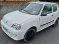 Fiat 600 1100 benzina Bianco - thumbnail 4