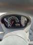 Fiat 600 1100 benzina Bianco - thumbnail 1