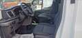 Ford Transit 350 fwd combi M1 2.0 ecoblue 150cv trend L3H2 auto Bianco - thumbnail 13
