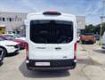 Ford Transit 350 fwd combi M1 2.0 ecoblue 150cv trend L3H2 auto Bianco - thumbnail 9