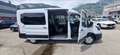 Ford Transit 350 fwd combi M1 2.0 ecoblue 150cv trend L3H2 auto Bianco - thumbnail 5