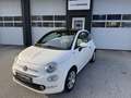 Fiat 500 1.0 Mild Hybrid *Dolcevita* Weiß - thumbnail 1