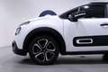 Citroen C3 PURETECH 83 S&S SHINE NEOPATENTATI Bianco - thumbnail 11