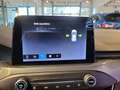 Ford Focus Turnier Active El. Panodach Navi Soundsystem B & O Weiß - thumbnail 17