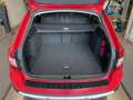Skoda Octavia Combi Scout 4x4 Klimaautomatik XENON Rouge - thumbnail 5