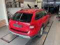 Skoda Octavia Combi Scout 4x4 Klimaautomatik XENON Rouge - thumbnail 4