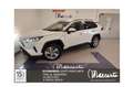 Toyota RAV 4 2.5 HV (222CV) E-CVT AWD-i Lounge Weiß - thumbnail 1