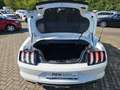 Ford Mustang GT Convertible Weiß - thumbnail 12