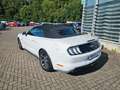 Ford Mustang GT Convertible Weiß - thumbnail 11