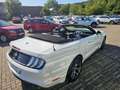Ford Mustang GT Convertible Weiß - thumbnail 5