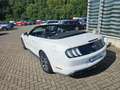 Ford Mustang GT Convertible Weiß - thumbnail 3