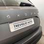 Skoda Karoq 2.0 TDI EVO SCR 115 CV DSG Executive Grigio - thumbnail 42