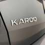 Skoda Karoq 2.0 TDI EVO SCR 115 CV DSG Executive Grigio - thumbnail 39
