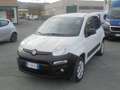 Fiat New Panda 1.3 mjt 16v 4x4 75cv  VAN 2 posti  CLIMA Blanc - thumbnail 3
