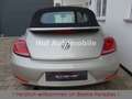 Volkswagen Beetle 1.2TSI Allstar Plus Xenon LED Kamera SHZ Silber - thumbnail 6